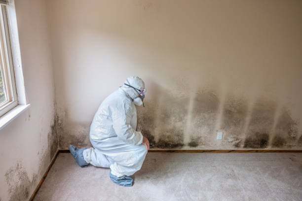 Forensic Mold Investigation in Ames Lake, WA